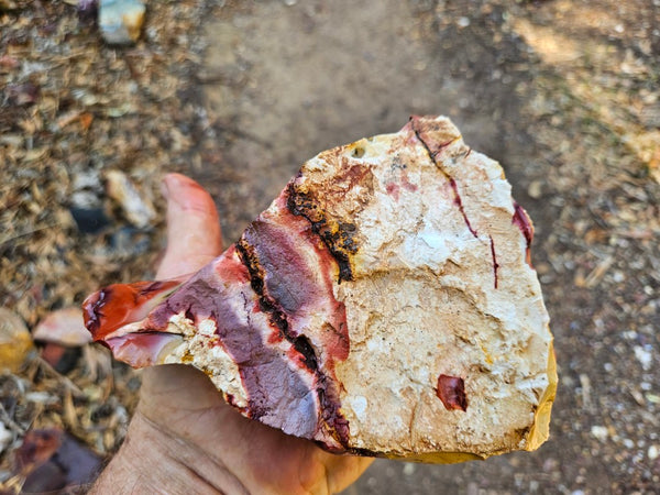 Mookaite rough.  MKR 305