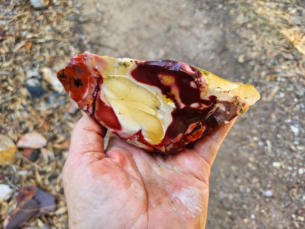 Mookaite rough.  MKR 305