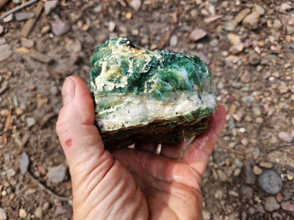Green Opal  rough.  GOR 143