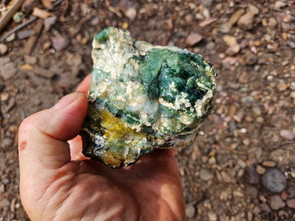 Green Opal  rough.  GOR 143