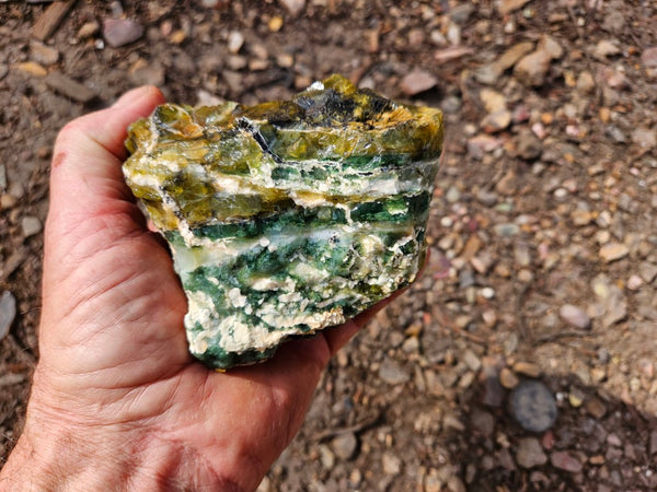 Green Opal  rough.  GOR 143