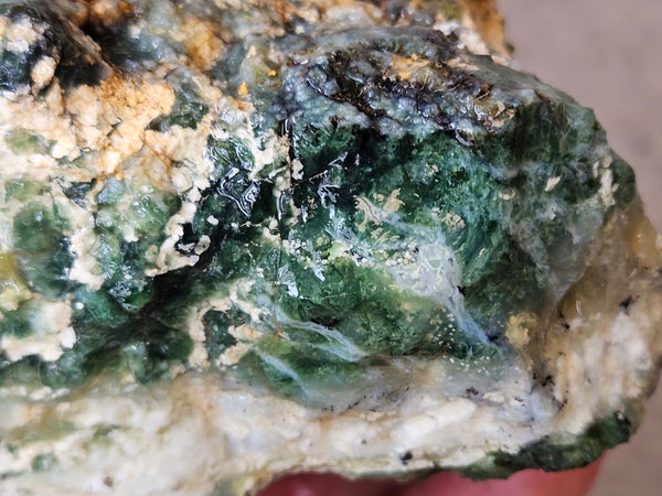 Green Opal  rough.  GOR 143