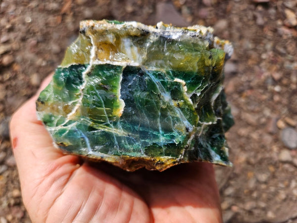 Green Opal  rough.  GOR 144