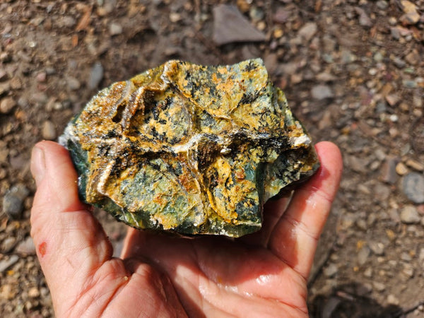 Green Opal  rough.  GOR 144