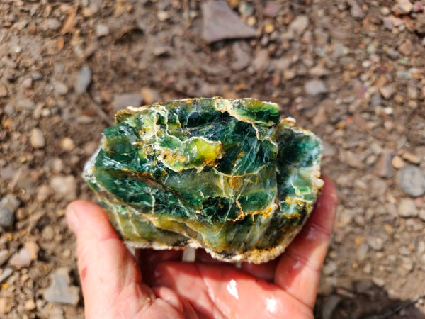 Green Opal  rough.  GOR 144