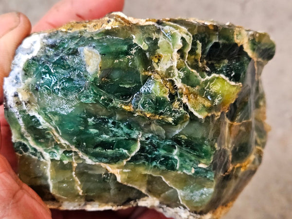 Green Opal  rough.  GOR 144