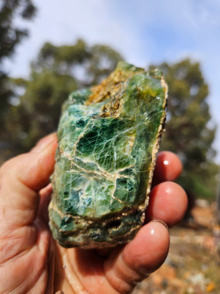 Green Opal  rough.  GOR 145