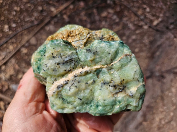 Green Opal  rough.  GOR 145