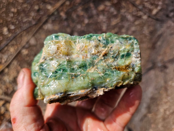 Green Opal  rough.  GOR 145