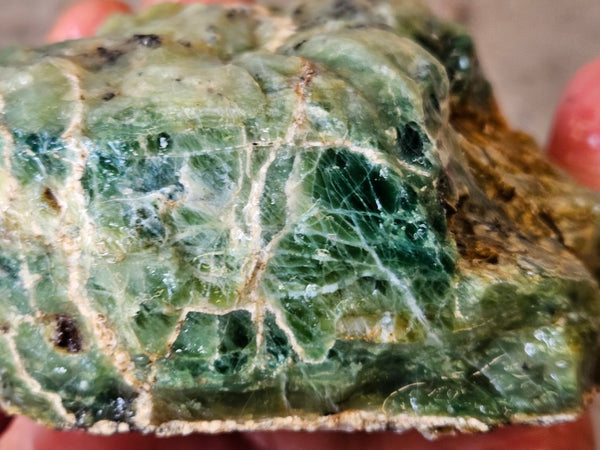 Green Opal  rough.  GOR 145