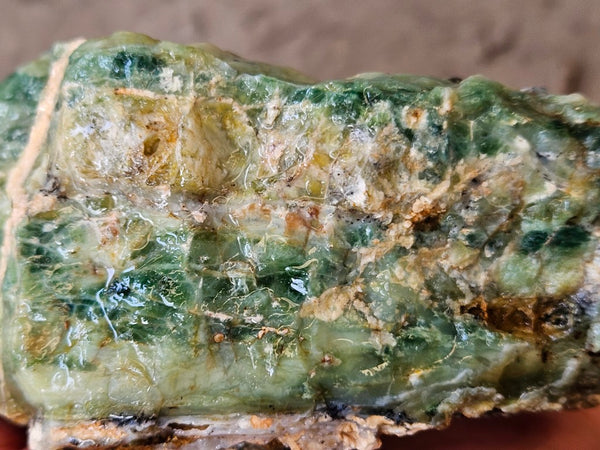Green Opal  rough.  GOR 145