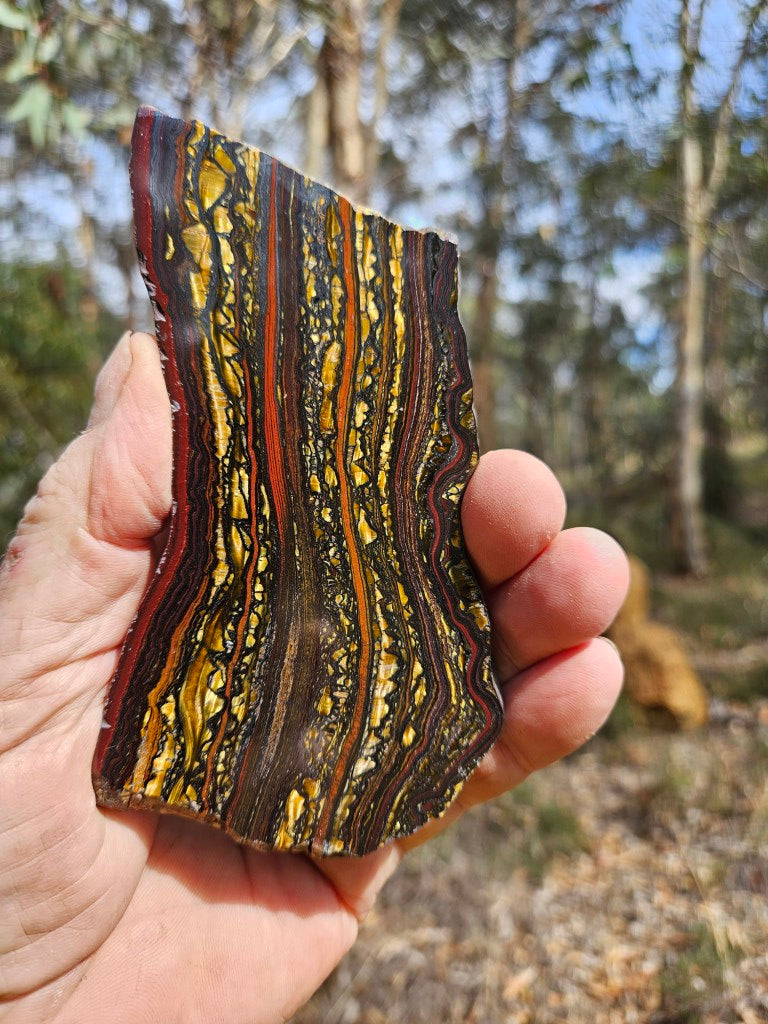 Polished Tiger Iron slab TI399