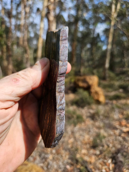 Polished Tiger Iron slab TI399