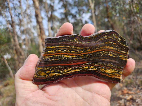 Polished Tiger Iron slab TI399