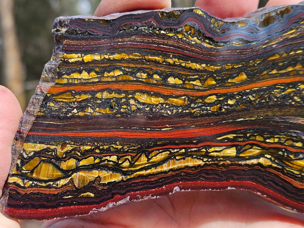 Polished Tiger Iron slab TI399