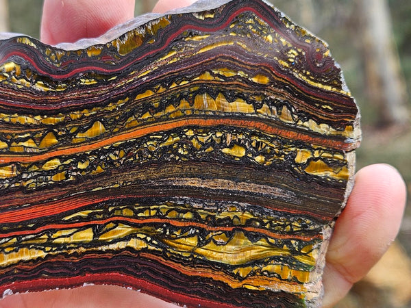 Polished Tiger Iron slab TI399