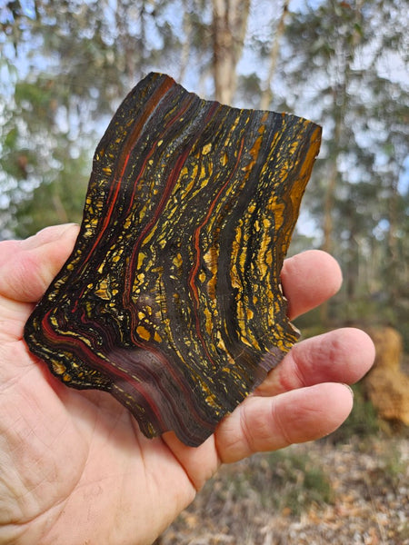Polished Tiger Iron slab TI398