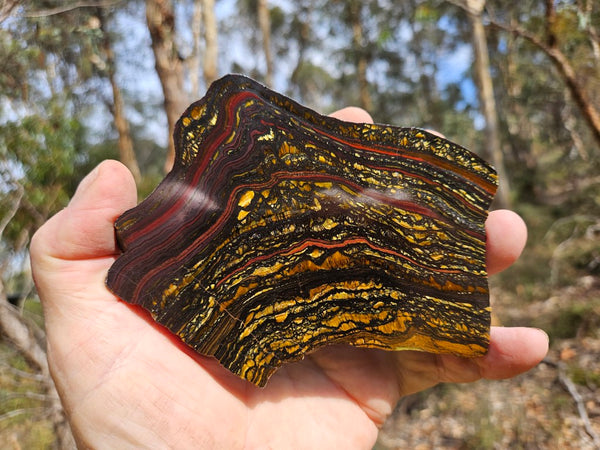 Polished Tiger Iron slab TI398