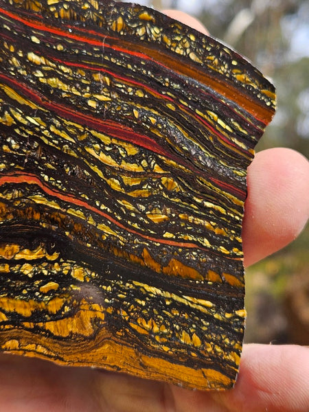 Polished Tiger Iron slab TI398