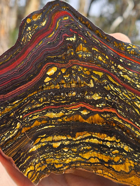 Polished Tiger Iron slab TI398