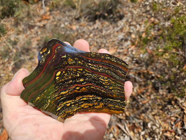 Polished Tiger Iron slab TI398