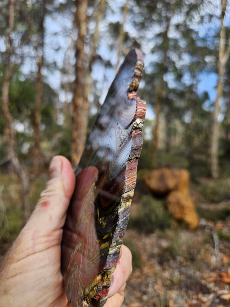 Polished Tiger Iron slab TI400