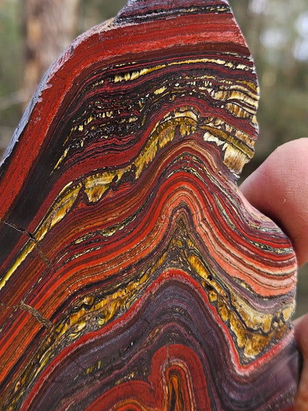 Polished Tiger Iron slab TI400