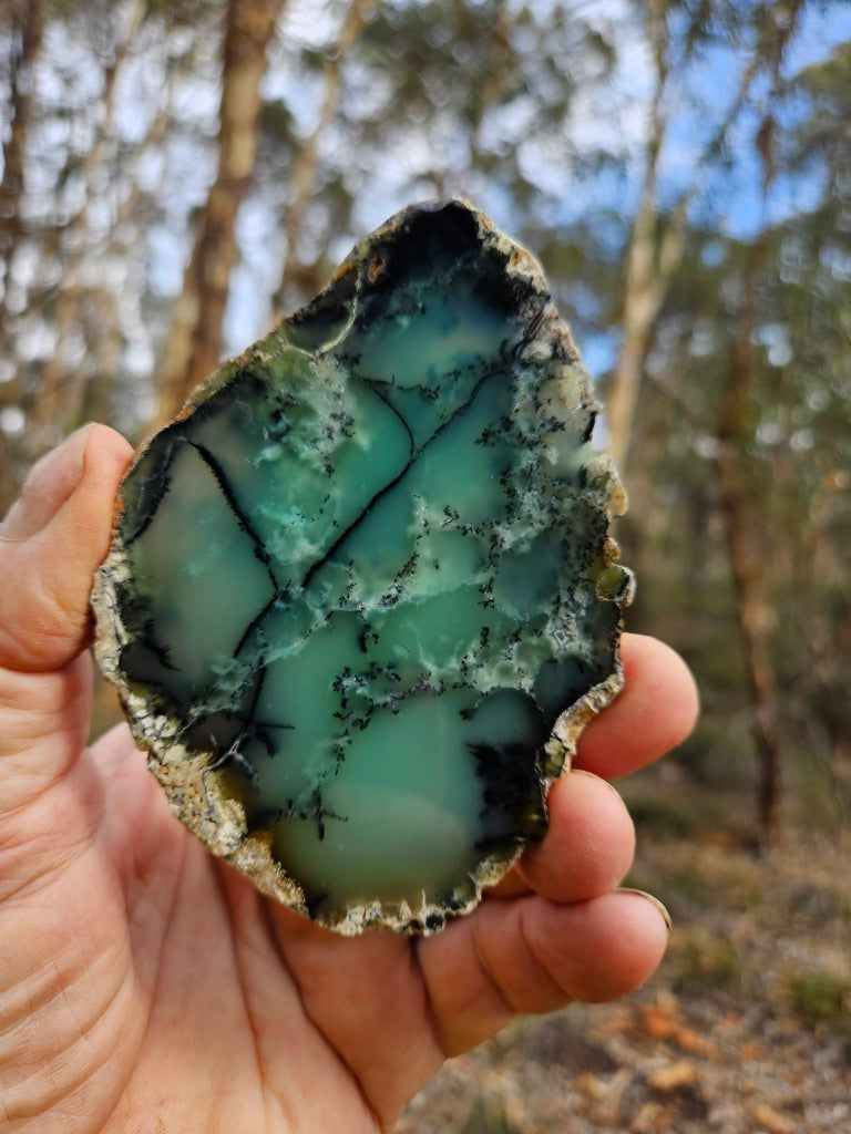 Polished  Chrysoprase slab  CH500