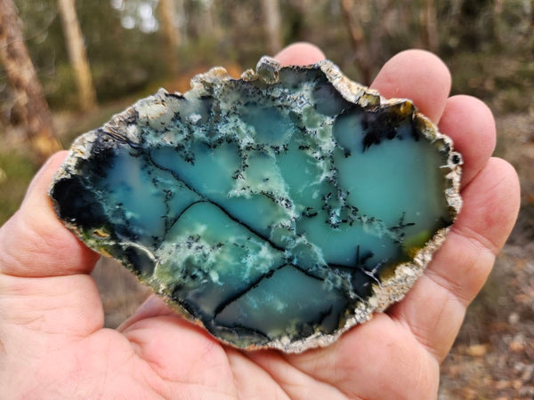 Polished  Chrysoprase slab  CH500