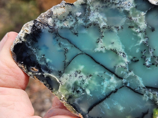 Polished  Chrysoprase slab  CH500