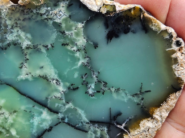 Polished  Chrysoprase slab  CH500