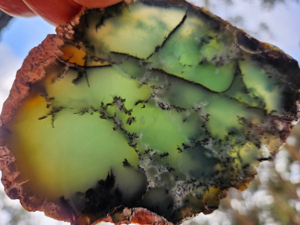 Polished  Chrysoprase slab  CH500