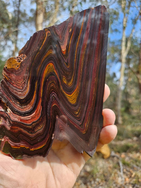 Polished Tiger Iron slab TI401