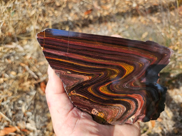 Polished Tiger Iron slab TI401