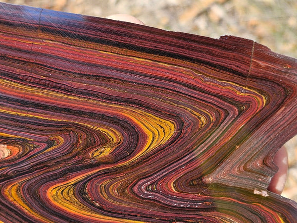 Polished Tiger Iron slab TI401