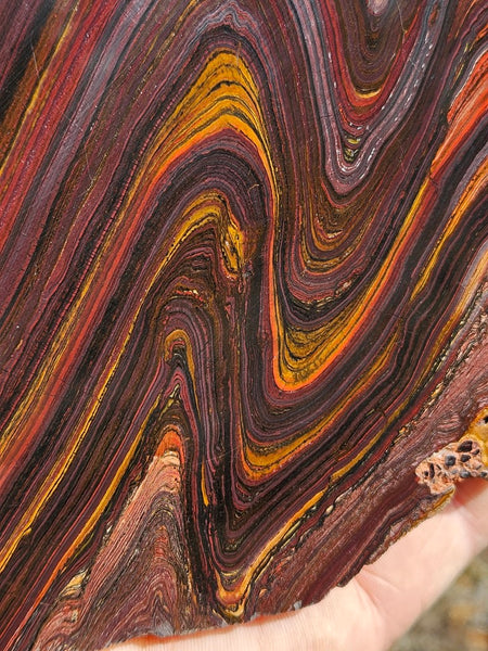 Polished Tiger Iron slab TI401