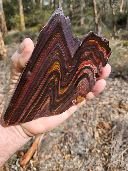 Polished Tiger Iron slab TI401