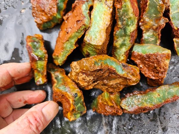 Chrysoprase rough.  CHR 212