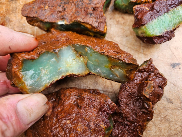 Chrysoprase rough.  CHR 213