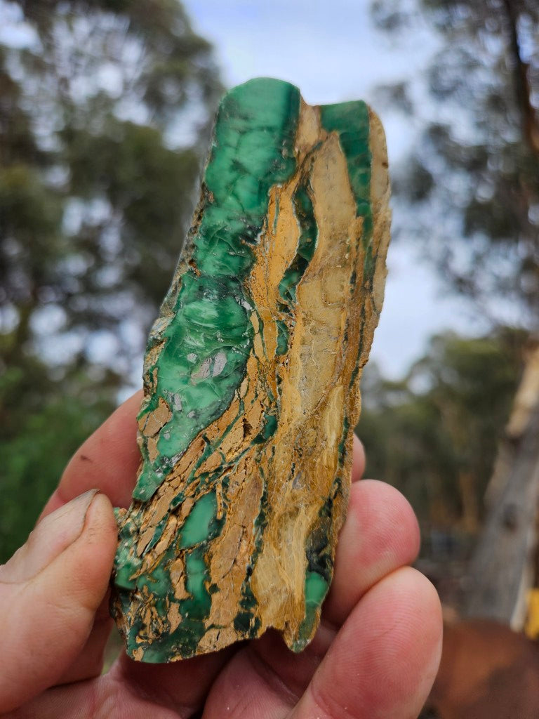 Variscite Polished Slab.  VP 302