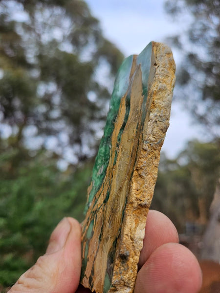 Variscite Polished Slab.  VP 302