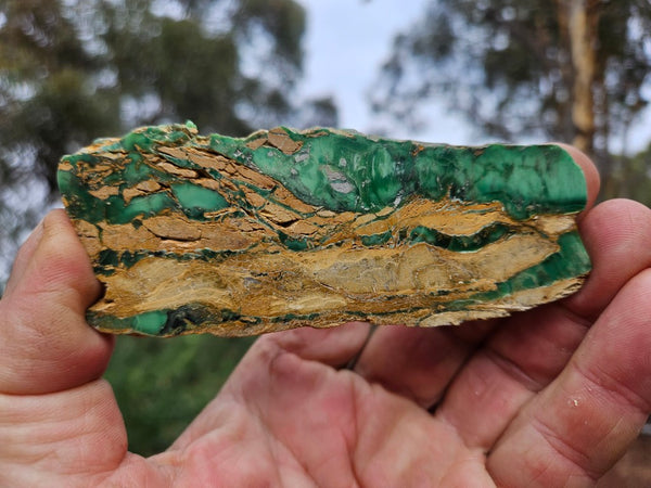 Variscite Polished Slab.  VP 302