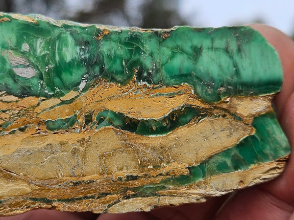 Variscite Polished Slab.  VP 302