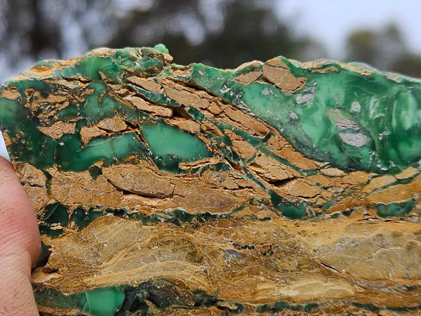 Variscite Polished Slab.  VP 302