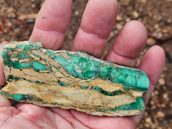 Variscite Polished Slab.  VP 302