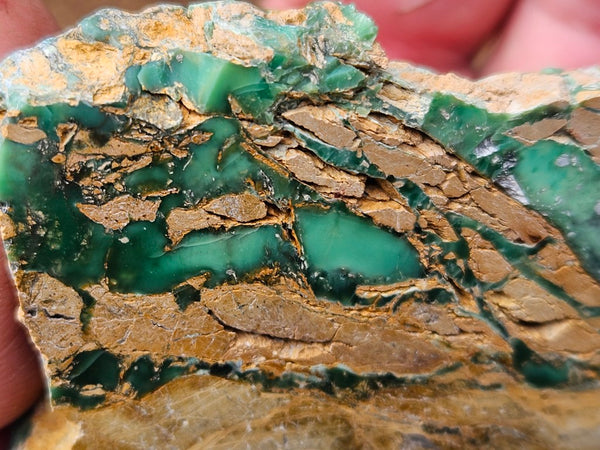 Variscite Polished Slab.  VP 302