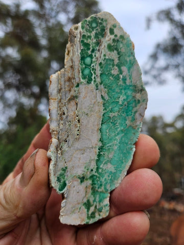Variscite Polished Slab.  VP 303