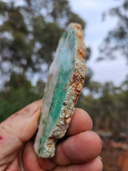 Variscite Polished Slab.  VP 303