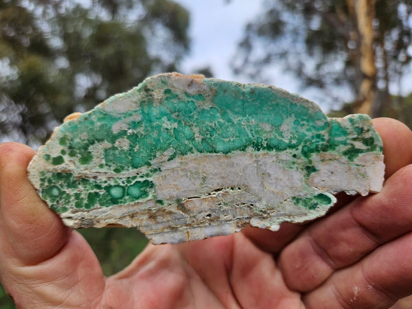 Variscite Polished Slab.  VP 303