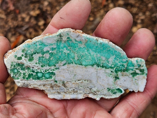 Variscite Polished Slab.  VP 303